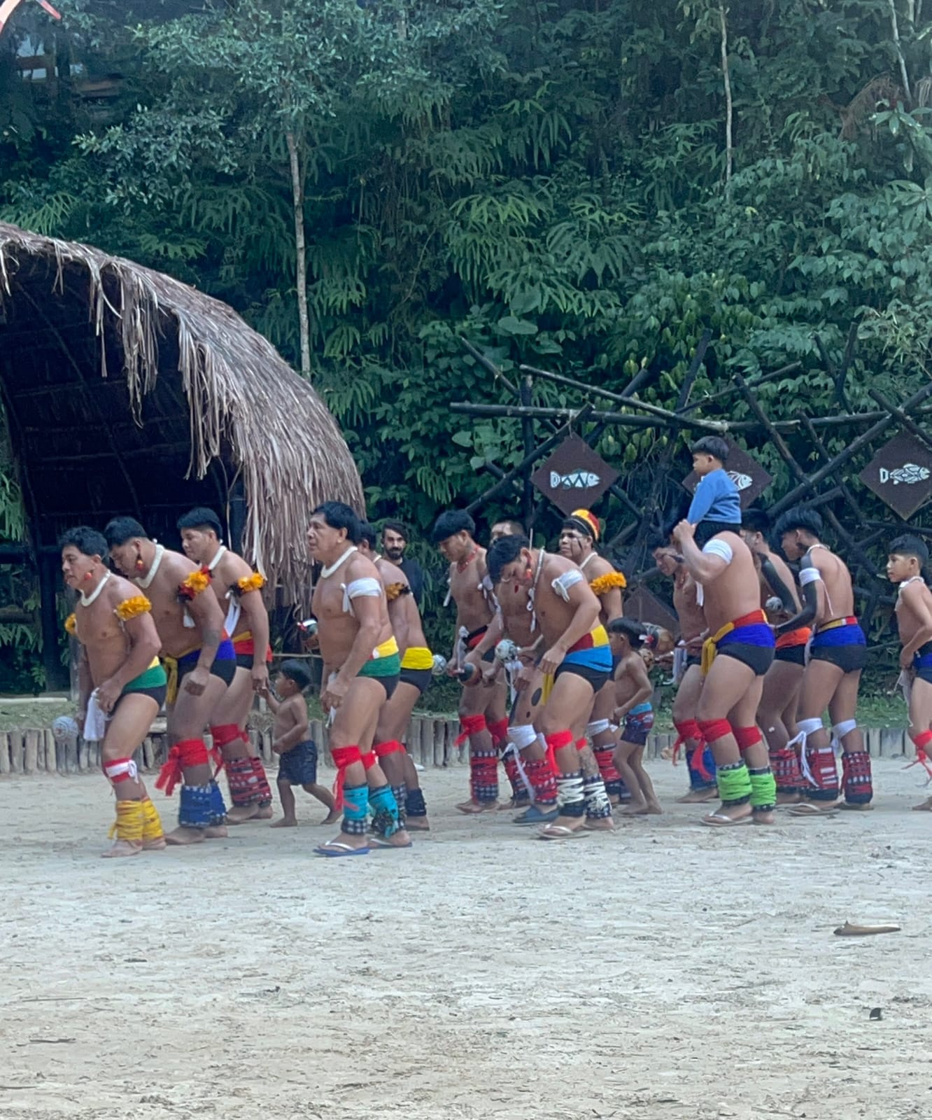 XINGU TOCA DA RAPOSA - 2026