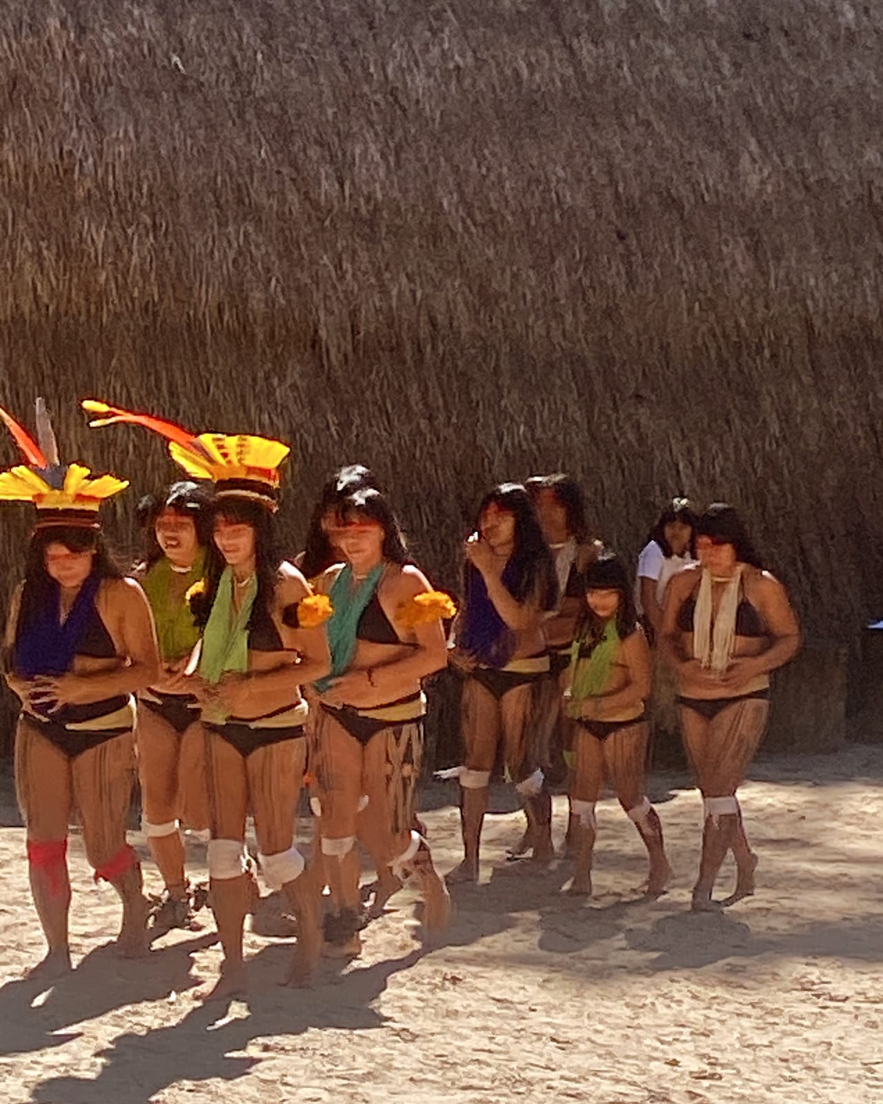 XINGU TOCA DA RAPOSA - 2026
